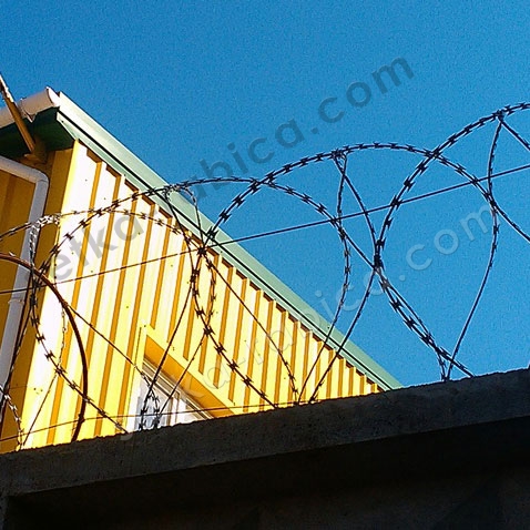 Егоза Казачка® 450/3, 86 витков