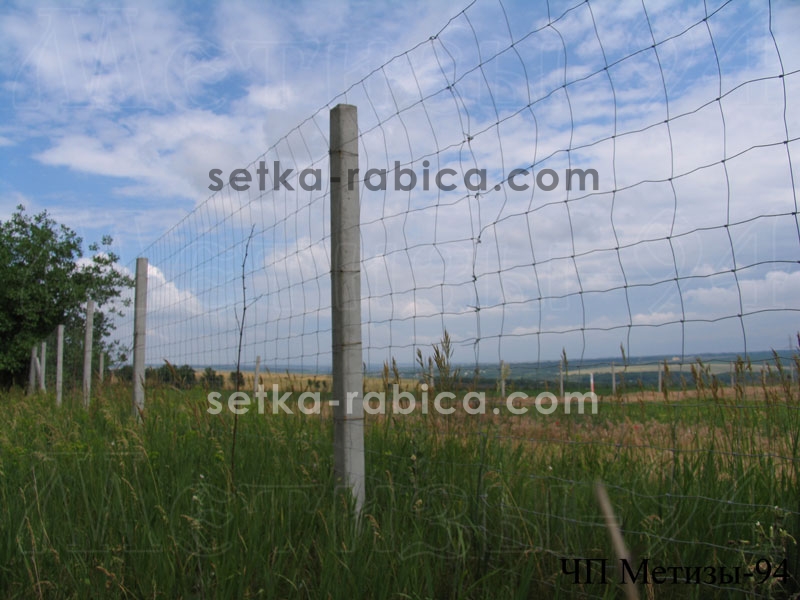 Сітка Казачка® полегшена 200/17/15, 2,0//2,5 мм 50 м Зображення 5
