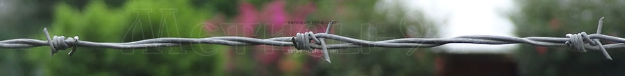 Колючая проволока двухосновная оцинкованная 1,8 мм Зображення 5