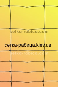 Сітка Казачка® полегшена 150/21/15, 2,0//2,5 мм 50 м Зображення 3