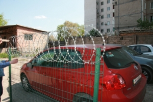 Плоская егоза 450/3 11 пог.м.